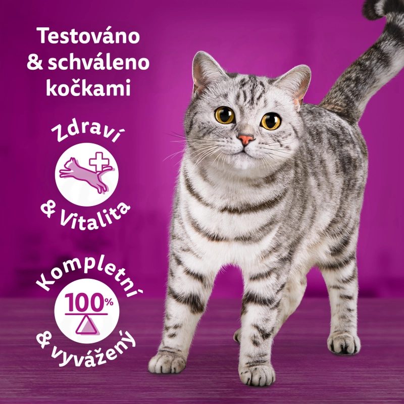 Obrázek k produktu - b19de0d1f3c8405cb023065c18ec58a5.webp