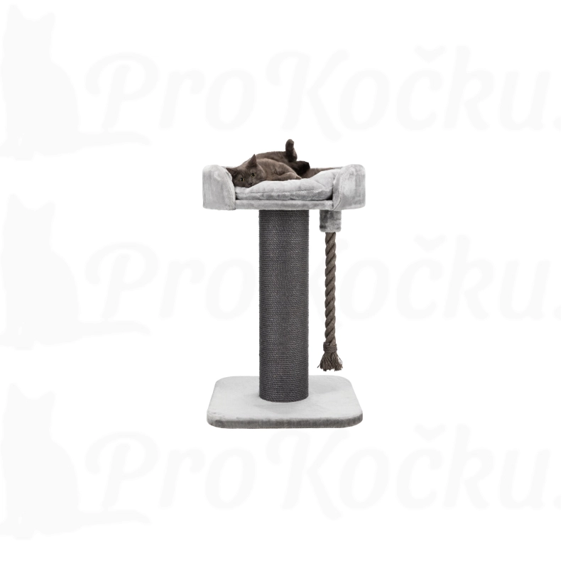 Obrázek k produktu - 33947fa2393dcdeb92b1384cbf0abd87.webp